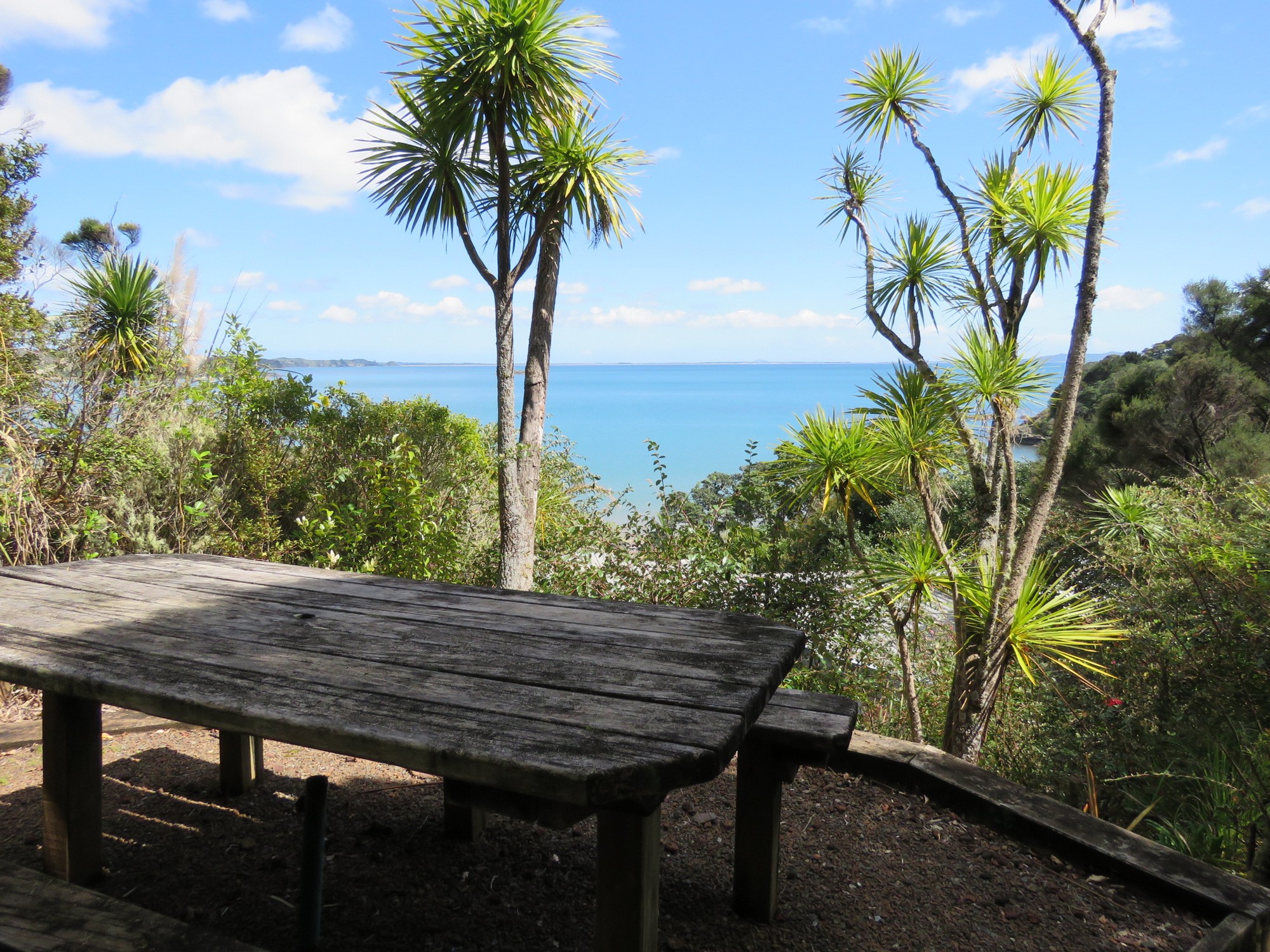 Amanda, Auckland, New Zealand